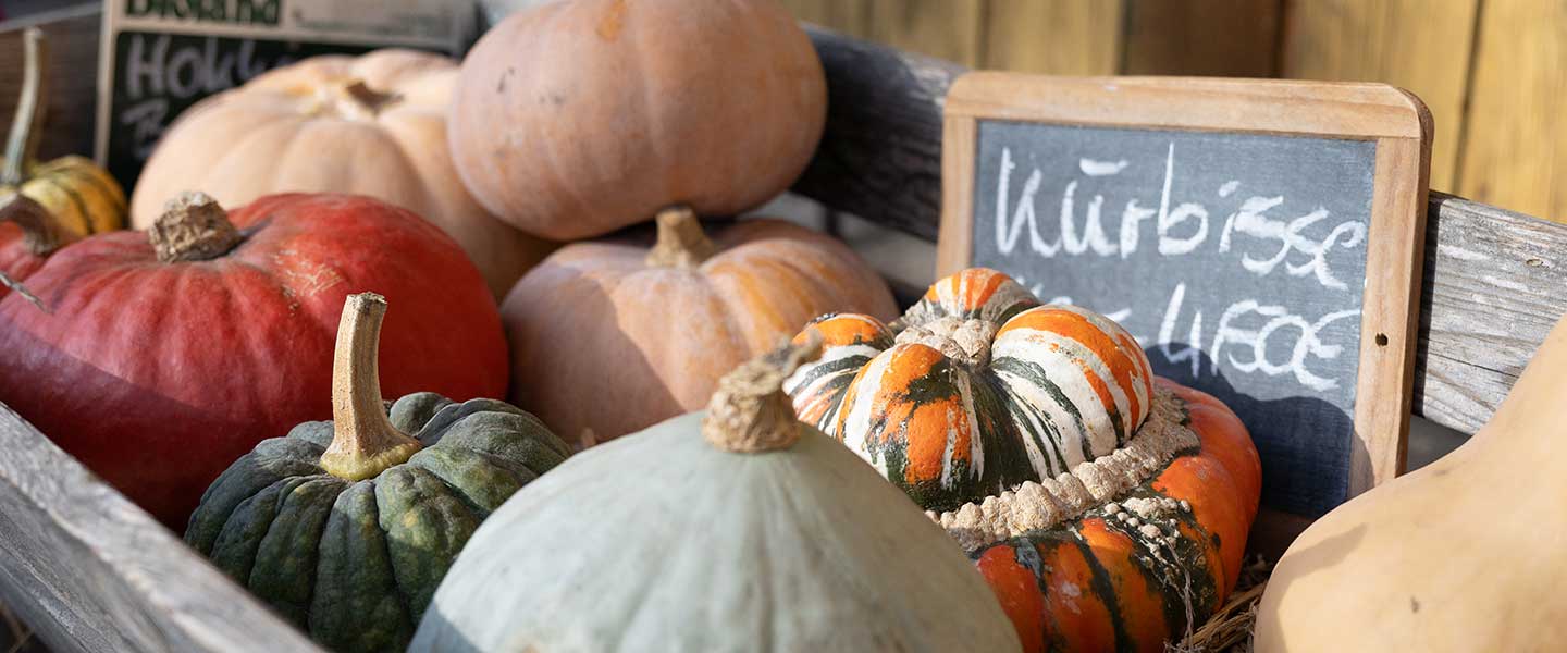 Saisonal - Regional - im Naturkost Neue Wege - Ahnatal Weimar