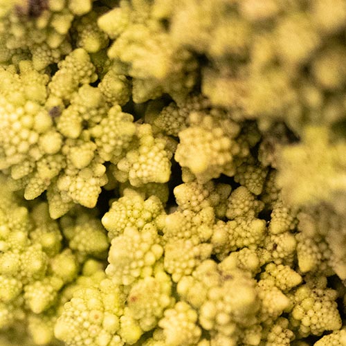 Bio Romanesco